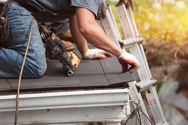 Best Metal Roofing Contractor  in Monroe, MI