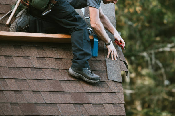 Best New Roof Installation  in Monroe, MI